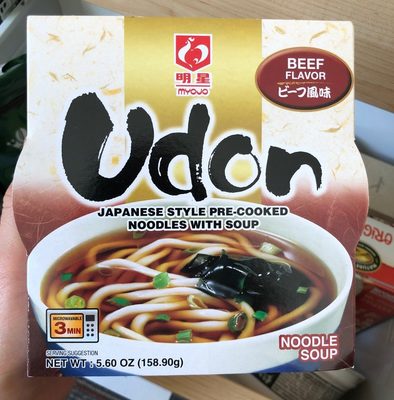 Udon Noodle Soup, Beef