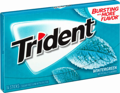 Wintergreen Sugar Free Gum With Xylitol, Wintergreen