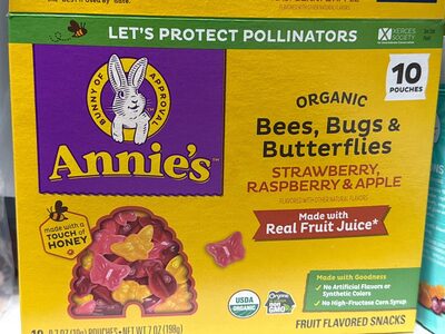 Annie's Organic Bees Bugs & Butterflies Fruit Snacks 10 Count