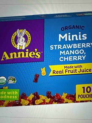 Annie's Organic Mini Bunny Fruit Snacks 10 Count