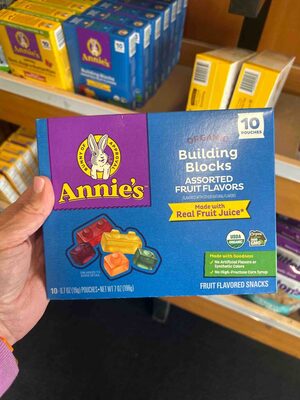 Annie's Organic Building Blocks Fruit Flavored Snacks 10 Count