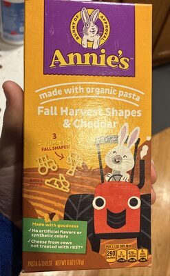 Annie's Fall Harvest Shapes & Cheddar Pasta & Cheese