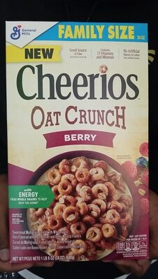 Cheerios Berry Oat Crunch Breakfast Cereal