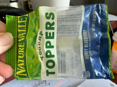 Nature Valley Honey Blueberry Yogurt Toppers