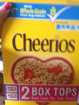 Toasted Whole Grain Oat Cereal