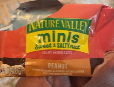 Nature Valley Sweet & Salty Nut Peanut Butter Mini Granola Bar