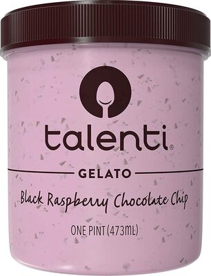 Black Raspberry Chocolate Chip Gelato, Black Raspberry; Chocolate Chip
