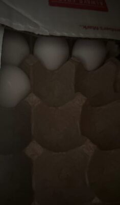 Cage Free Grade Aa Large Eggs