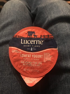 Strawberry Banana Lowfat Yogurt, Strawberry Banana