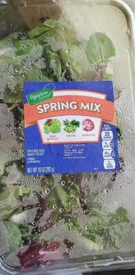 Spring Mix Baby Lettuces, Greens, Radicchio, Spring Mix