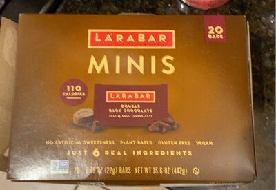 Larabar Double Dark Chocolate Mini Fruit and Nut Bars 20 Count