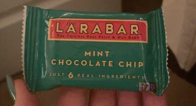 Larabar Mint Chip Brownie Mini Fruit and Nut Bar