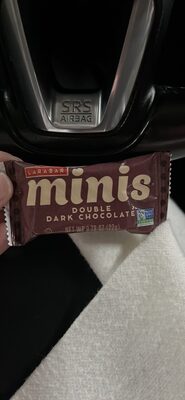 Larabar Double Dark Chocolate Mini Fruit and Nut Bar