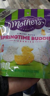 Springtime Buddies Cookies