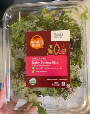 Organic Baby Spring Mix