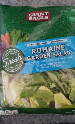 Romaine Lettuce, Carrots And Red Cabbage Garden Salad
