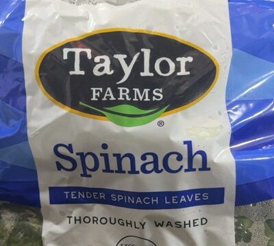 Tender Spinach Leaves