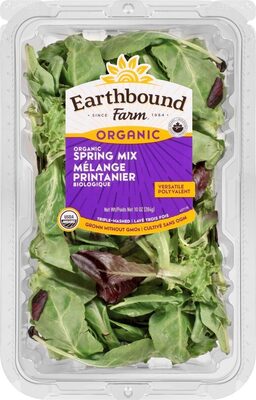 Organic Spring Mix