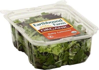Organic Baby Lettuces