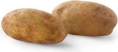 Jumbo Russet Potatoes