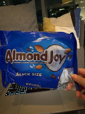 Coconut & Almond Chocolate Snack Size Candy Bar, Coconut & Almond Chocolate
