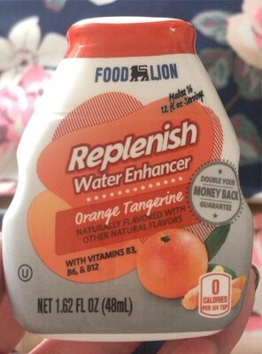 Food Lion, Water Enhancer, Orange