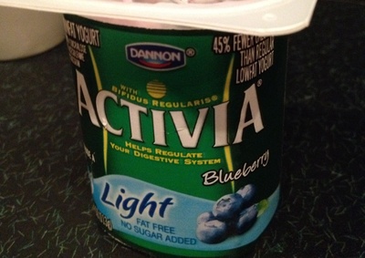 Blueberry Light Nonfat Yogurt, Blueberry