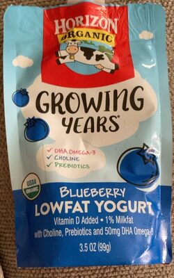 Blueberry Lowfat Yogurt, Blueberry