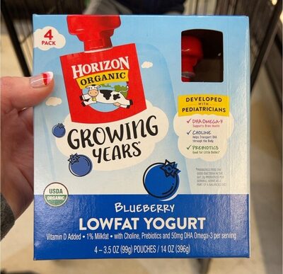 Blueberry Lowfat Yogurt, Blueberry