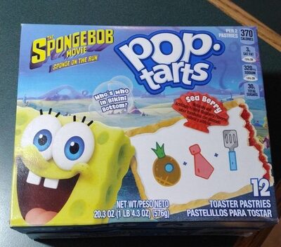 Sea Berry Frosted Raspberry Flavored Toaster Pastries, Sea Berry