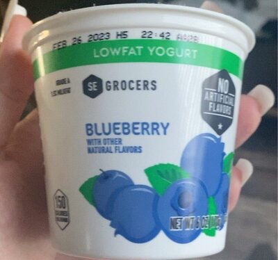 Blueberry Lowfat Yogurt, Blueberry