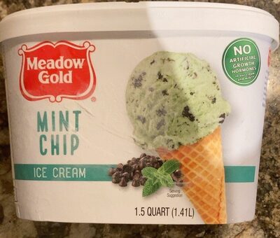 Mint Chip Ice Cream, Mint Chip