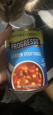 Progresso Vegetable Classics Garden Vegetable Soup