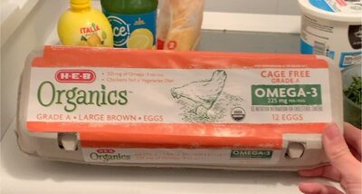 Grade A Cage Free Large Brown Eggs