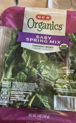 Baby Spring Mix, Baby Spring