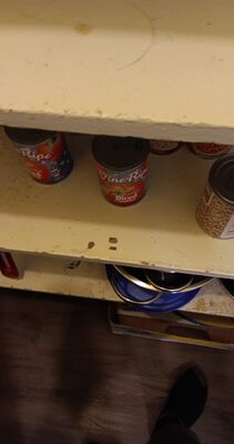 Skim Evaporated Milk