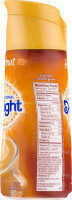 International Delight Hazelnut Creamer,16oz ESL