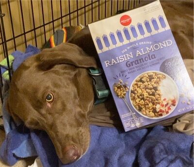 Raisin Almond Granola, Raisin Almond