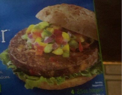 Chickpea Bean Burger
