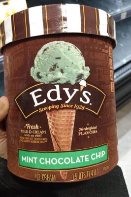 Mint Chocolate Chip Ice Cream, Mint Chocolate Chip