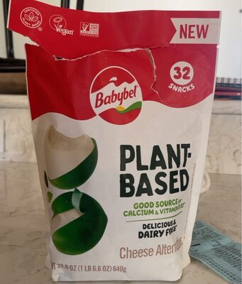 Plant-Based Cheese Alternative