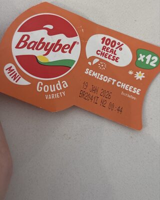 Mini Gouda Variety Semisoft Cheese