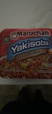 Home-Style Japanese Noodles, Teriyaki Beef