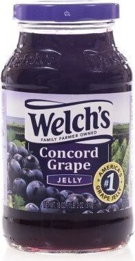 Welch's 18 Oz Spread - Concord Grape Jelly