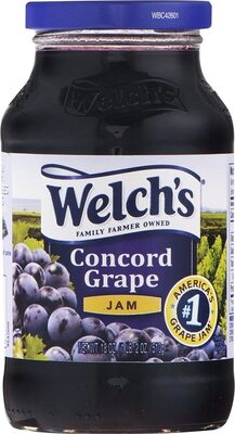Welch's 18 Oz Spread - Concord Grape Jam