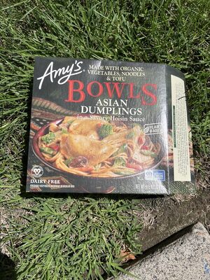 Asian Dumplings In A Savory Hoisin Sauce Bowls, Asian Dumplings