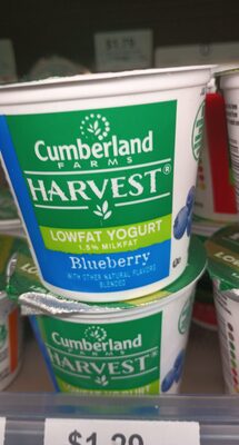 Blueberry Lowfat Yogurt, Blueberry