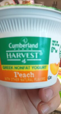 Peach Fruit On The Bottom Greek Nonfat Yogurt, Peach