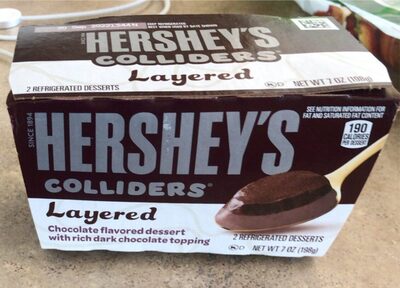 Layered Chocolate Flavored Dessert With Rich Dark Chocolate Topping Colliders