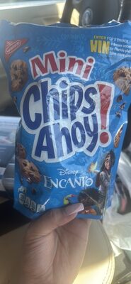 Nabisco Chips Ahoy! Lunchbox Cookies Snak Saks Mini 1X8 Oz